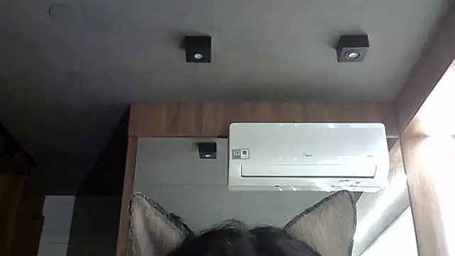 Snapshot of Skinny-Kitten chatting on 10-20-25, 01:40 Skinny-Kitten online show from 10-20-25, 01:40