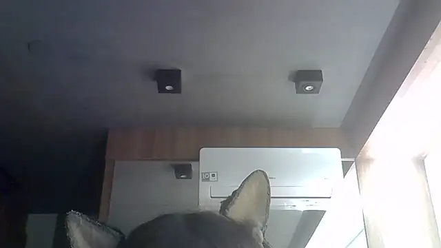 Skinny-Kitten online show from 06-30-26, 12:10