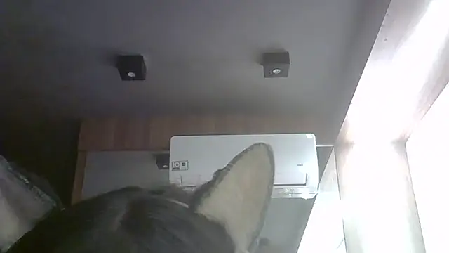 Skinny-Kitten online show from 05-26-26, 08:51