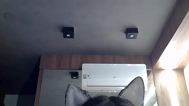 Skinny-Kitten online show from 01-09-26, 11:00