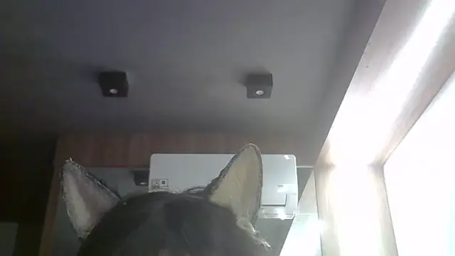 Skinny-Kitten online show from 05-22-26, 02:59