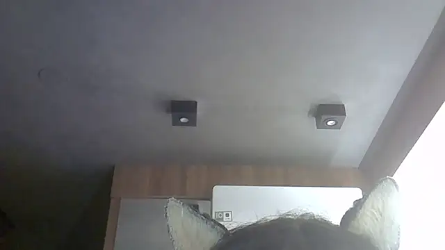 Skinny-Kitten online show from 06-12-26, 11:19