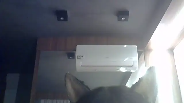 Skinny-Kitten online show from 06-28-26, 01:50