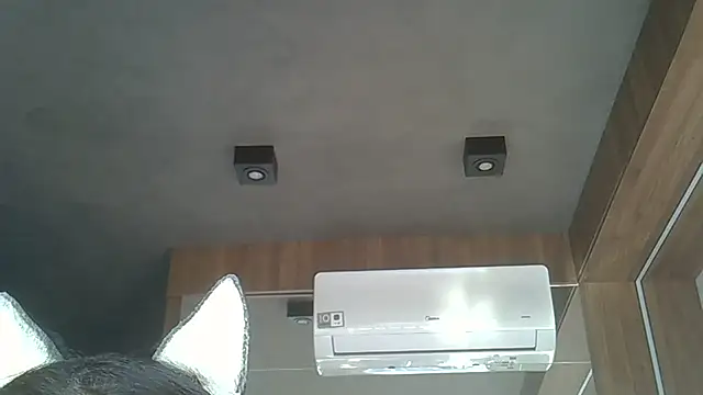 Snapshot of Skinny-Kitten chatting on 09-08-25, 07:24 Skinny-Kitten online show from 09-08-25, 07:24