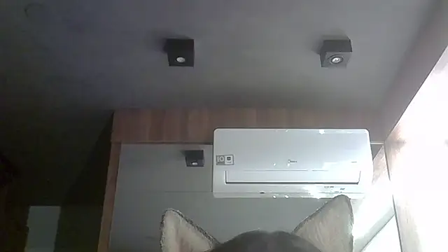 Snapshot of Skinny-Kitten chatting on 10-04-25, 12:23 Skinny-Kitten online show from 10-04-25, 12:23