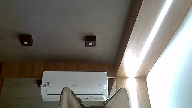 Snapshot of Skinny-Kitten chatting on 09-20-25, 02:49 Skinny-Kitten online show from 09-20-25, 02:49