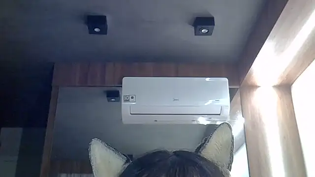 Skinny-Kitten online show from 06-26-26, 11:38