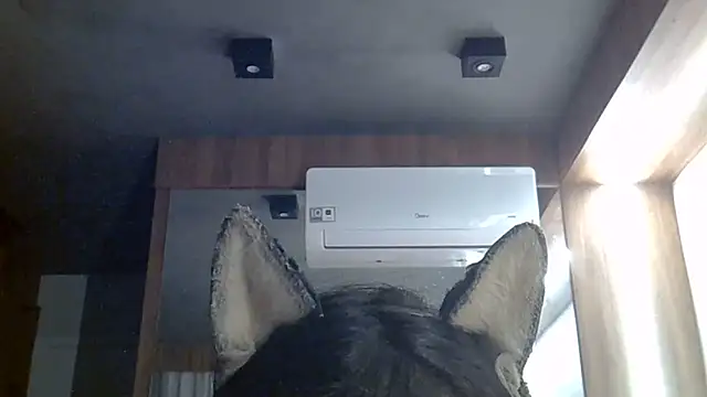 Skinny-Kitten online show from 06-30-26, 02:06