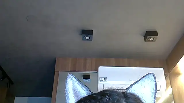 Skinny-Kitten online show from 10-28-25, 05:34