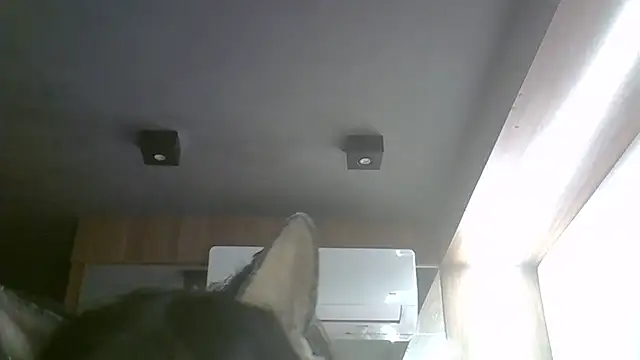 Skinny-Kitten online show from 05-17-26, 11:10