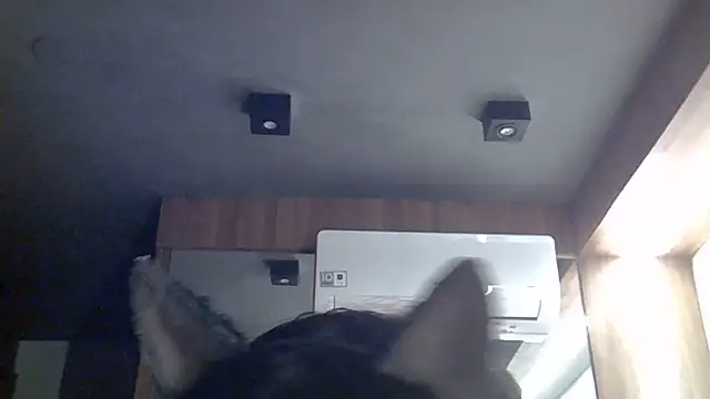 Skinny-Kitten online show from 07-12-26, 07:42