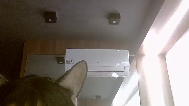 Skinny-Kitten online show from 07-07-26, 07:39
