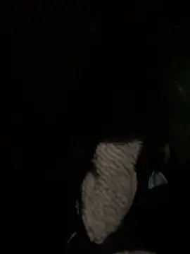 prekumstud online show from 04-23-26, 04:08