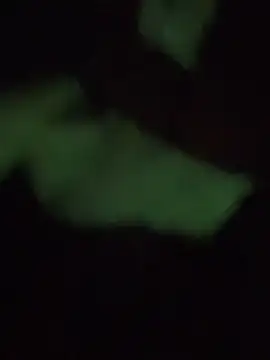 Snapshot of prekumstud chatting on 09-25-25, 05:13 prekumstud online show from 09-25-25, 05:13