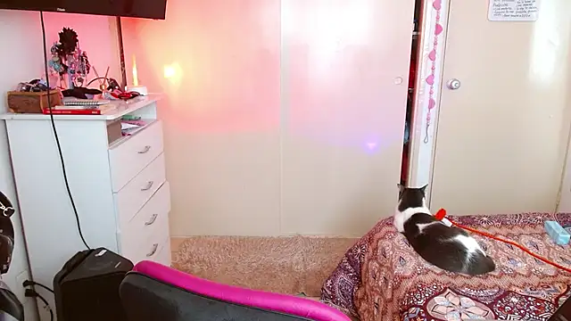 alisseallie online show from 03-21-26, 02:32