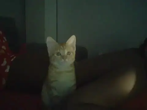 val5 online show from 01-17-26, 02:59