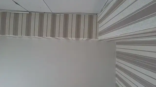 lily  foster online show from 09-23-25, 05:58