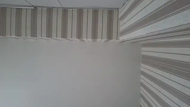 lily  foster online show from 09-22-25, 05:46