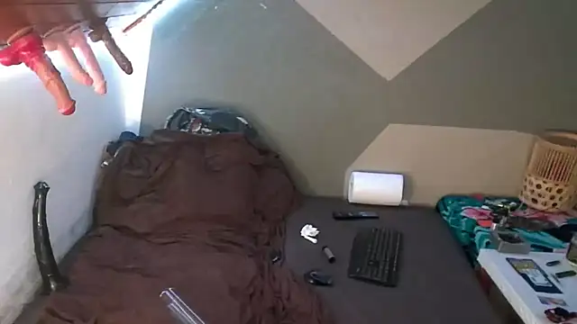 BigTail CZ online show from 09-26-25, 02:46