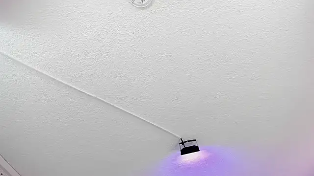 dalila salazar online show from 06-17-26, 01:27