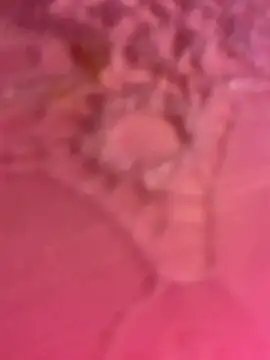 Snapshot of ThICk_JuIcEy chatting on 01-08-26, 08:42 ThICk JuIcEy online show from 01-08-26, 08:42