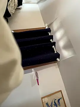 la chiennete online show from 10-12-25, 08:37