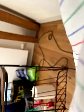 la chiennete online show from 09-27-25, 01:06