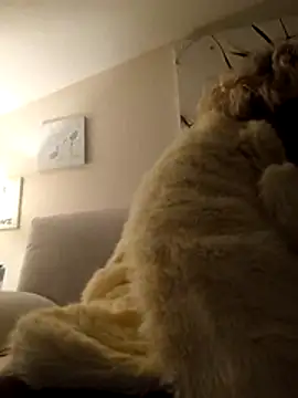 Merilulla online show from 11-14-25, 01:20