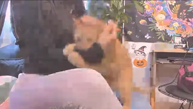 MYFAVOURITESTRAGER online show from 10-30-25, 04:04