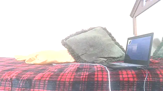 blkhereforall online show from 10-26-25, 09:26