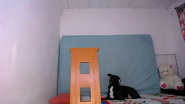 yselahot online show from 11-17-25, 03:27