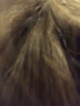  Sweet Love  online show from 03-29-26, 01:02