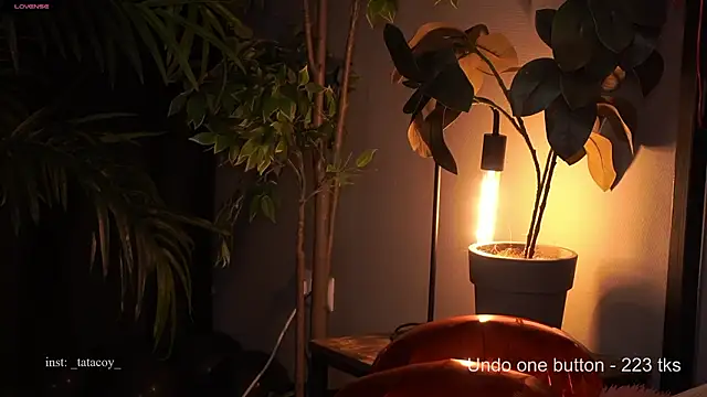 Snapshot of TataCoy chatting on 02-15-26, 02:49 TataCoy online show from 02-15-26, 02:49