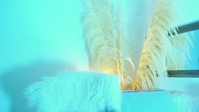 allison 01stone online show from 11-16-25, 08:02