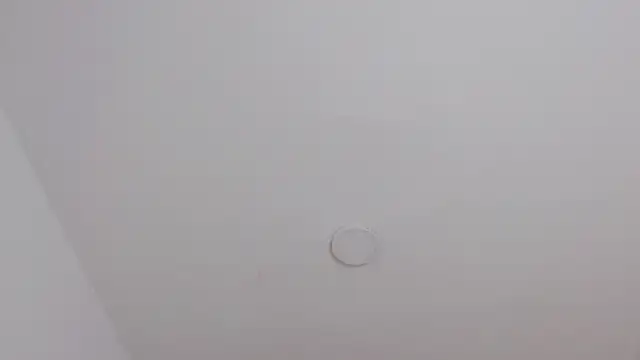 misslombana online show from 10-18-25, 05:31