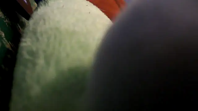 Snapshot of EllyseJenner chatting on 04-30-26, 06:15 EllyseJenner online show from 04-30-26, 06:15