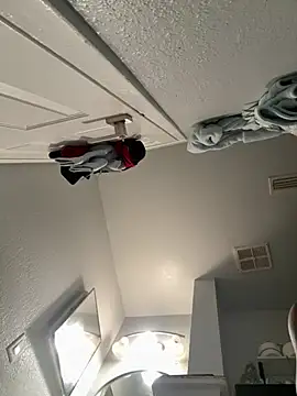 VipSection407 online show from 01-13-26, 03:49