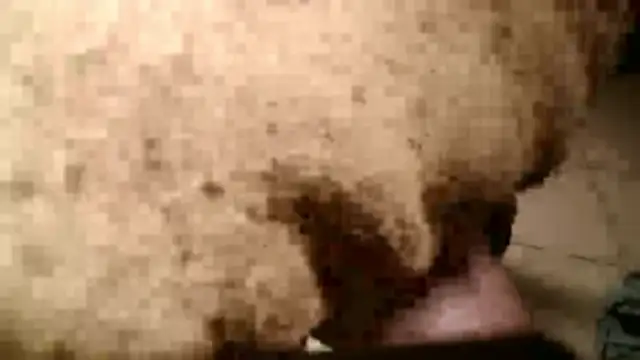 Dan3106x online show from 03-19-26, 07:14