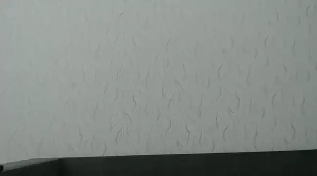 Snapshot of HoneyWiles chatting on 03-08-25, 12:41 HoneyWiles online show from 03-08-25, 12:41