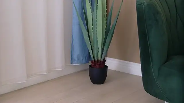 Snapshot of Bailey_Rush chatting on 11-25-25, 03:34 Bailey Rush online show from 11-25-25, 03:34