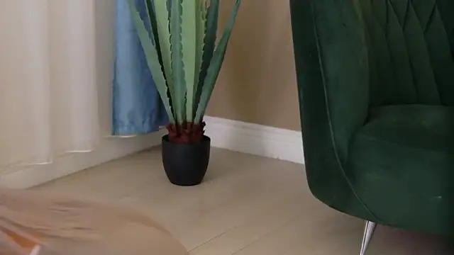 Snapshot of Bailey_Rush chatting on 12-05-25, 03:54 Bailey Rush online show from 12-05-25, 03:54