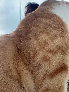 GigiiStone online show from 03-16-25, 10:20