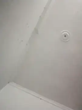 Snapshot of kevin613603 chatting on 11-07-25, 05:12 kevin613603 online show from 11-07-25, 05:12