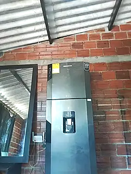 Yelly online show from 03-13-26, 03:39