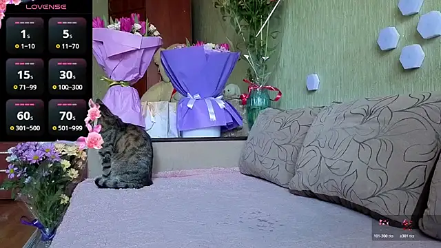 Miss Flexi fit online show from 03-08-26, 12:08