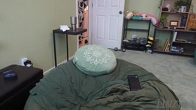 Linzy 19 online show from 12-17-25, 02:33