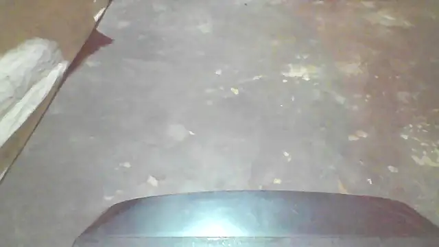 booty big online show from 10-04-25, 07:15