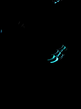 Jackauff69 online show from 12-18-25, 11:08