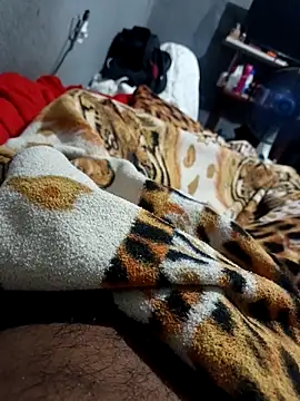 Snapshot of Mailsonp chatting on 02-26-26, 03:34 Mailsonp online show from 02-26-26, 03:34