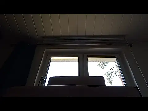 Rainfish online show from 05-24-26, 11:10